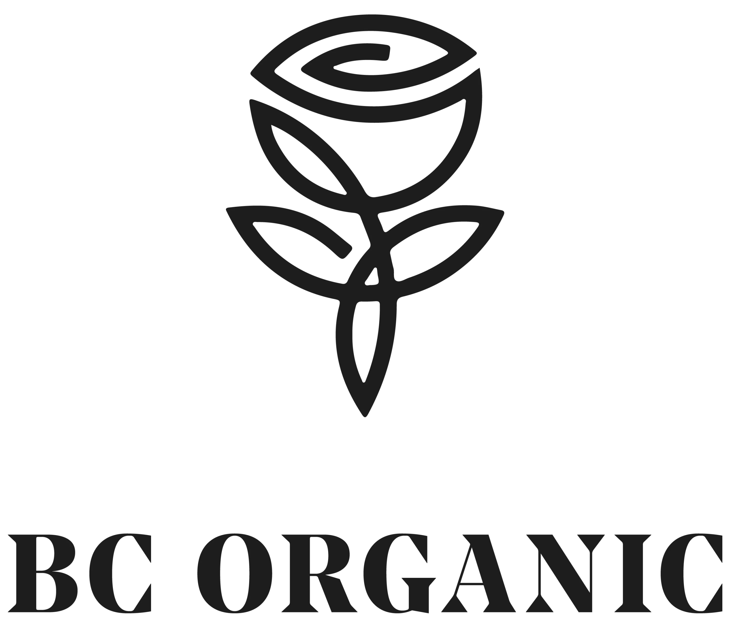 Polskie kosmetyki ekologiczne, wegańskie, mineralne - BC-Organic drogeria w UK